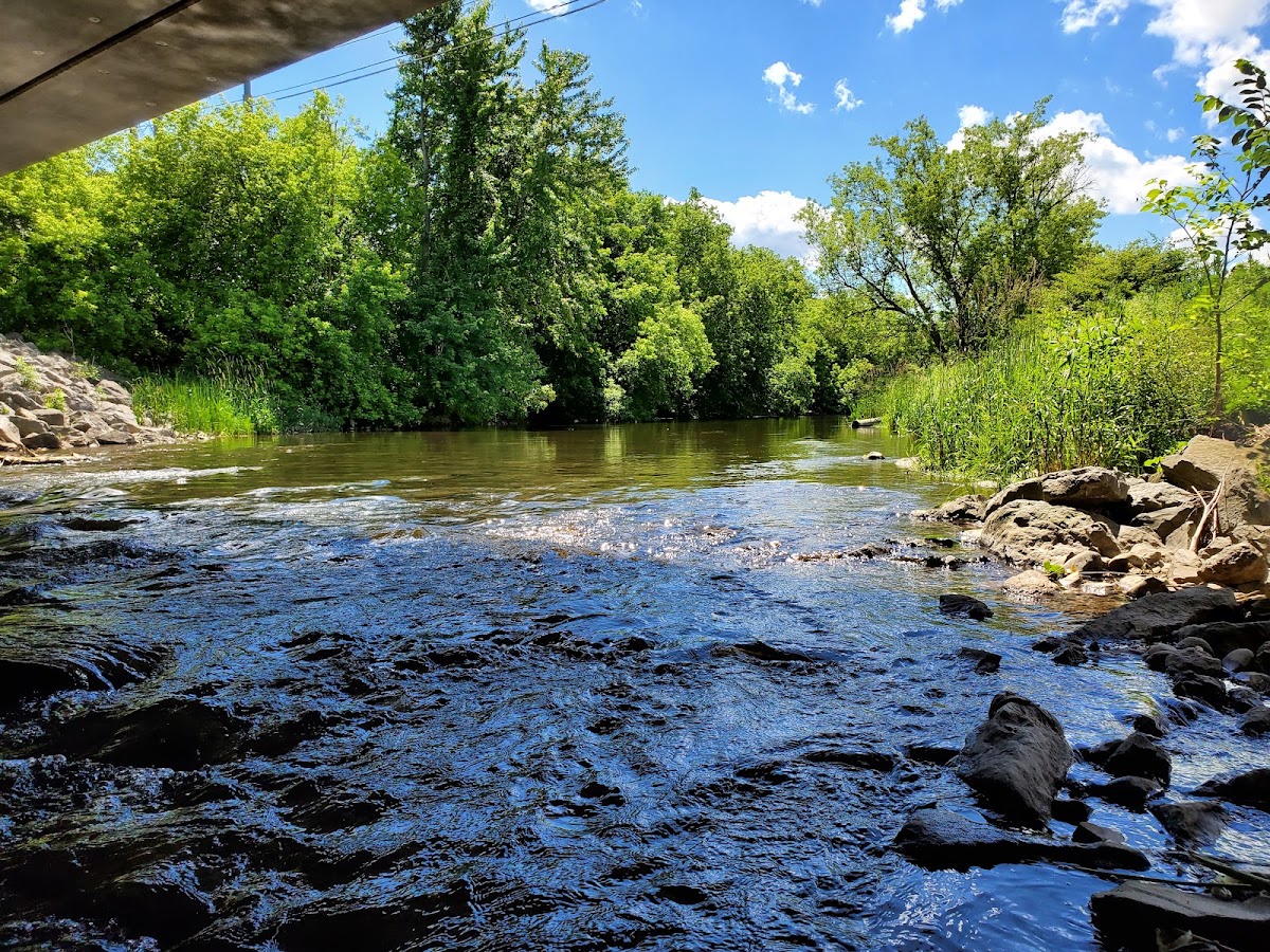 West Branch Tioughnioga River