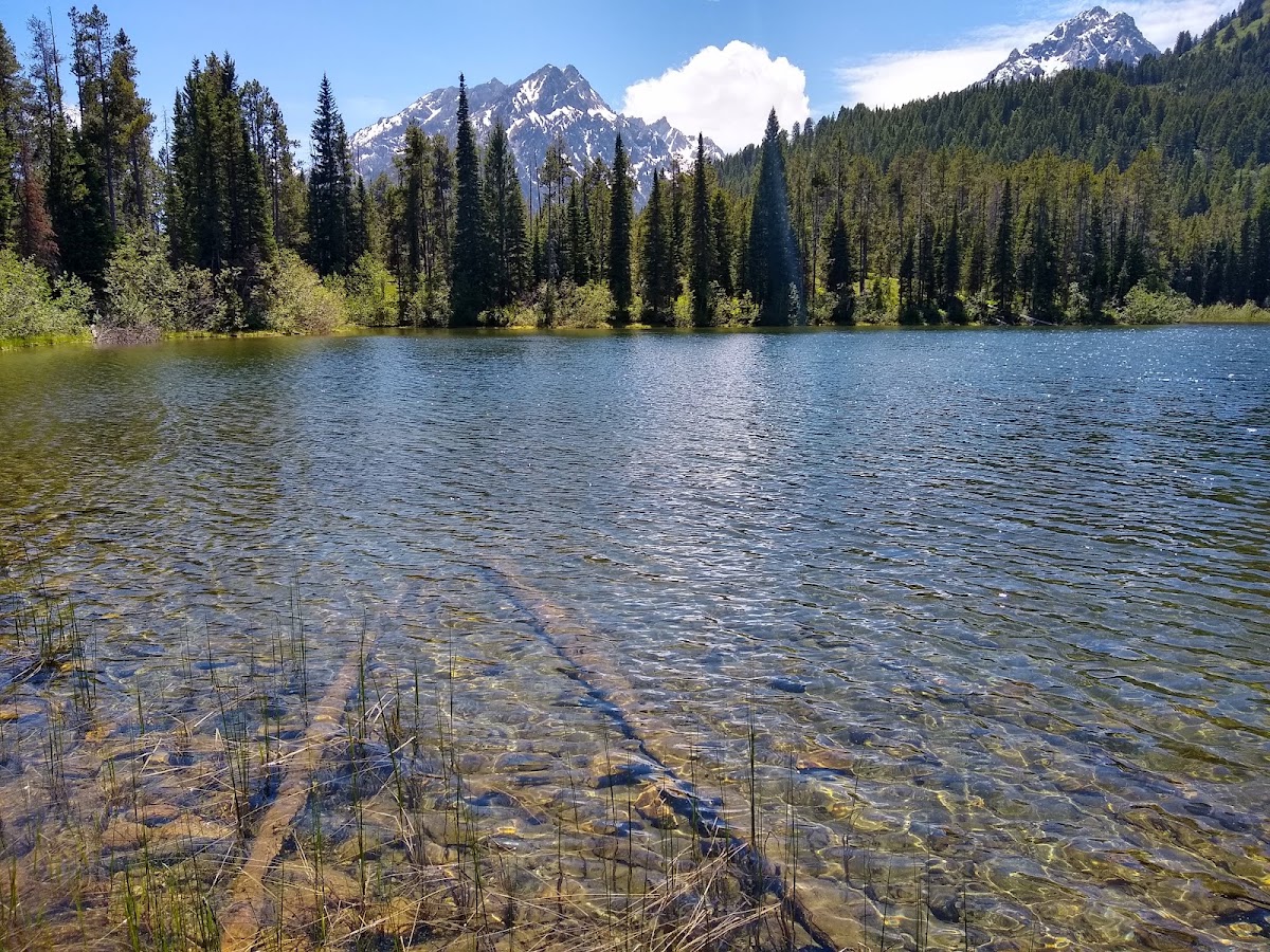 Bearpaw Lake