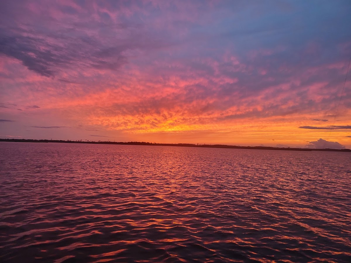 Pamlico Point Impoundment #1
