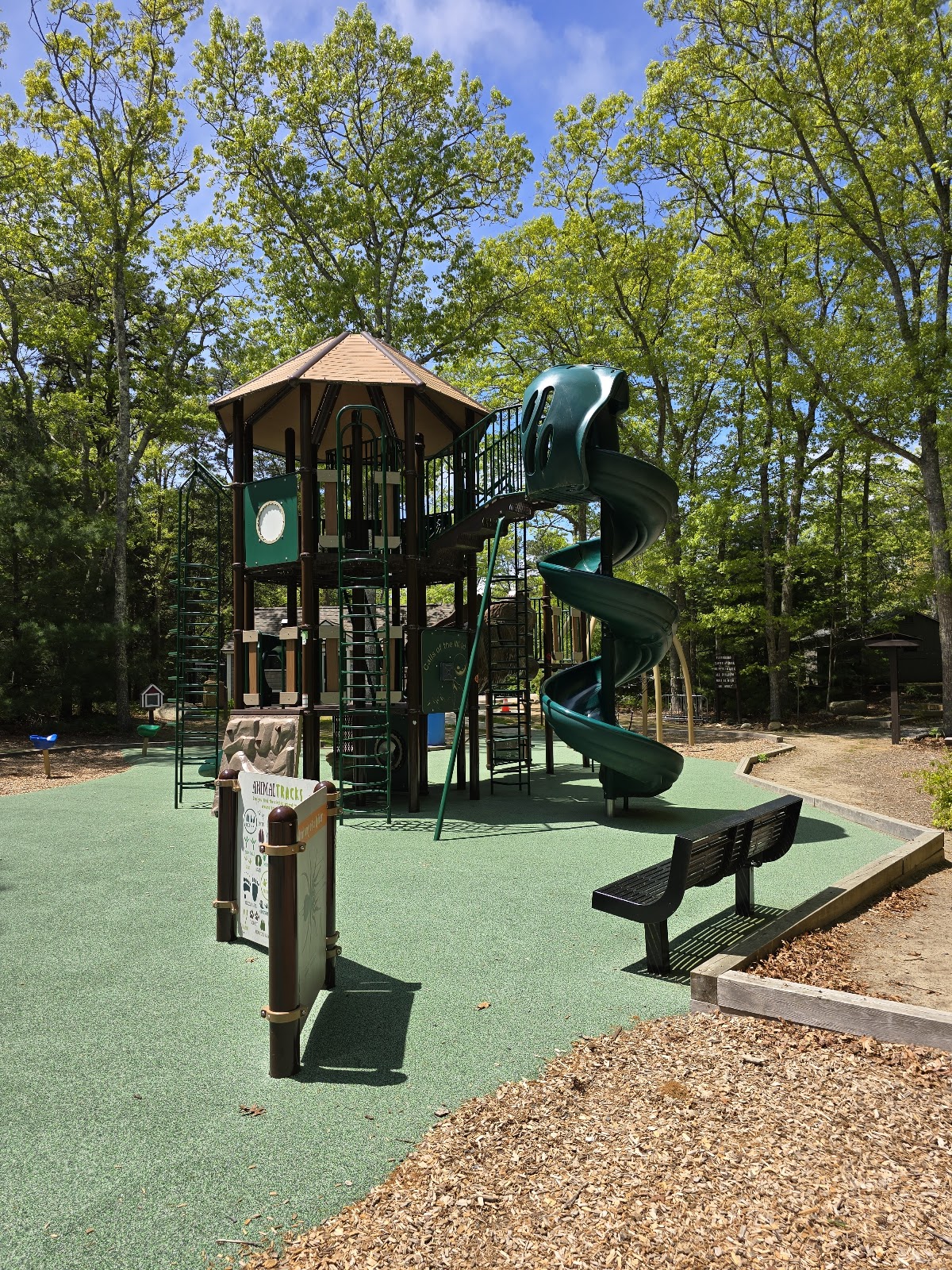 Shawme-Crowell State Forest