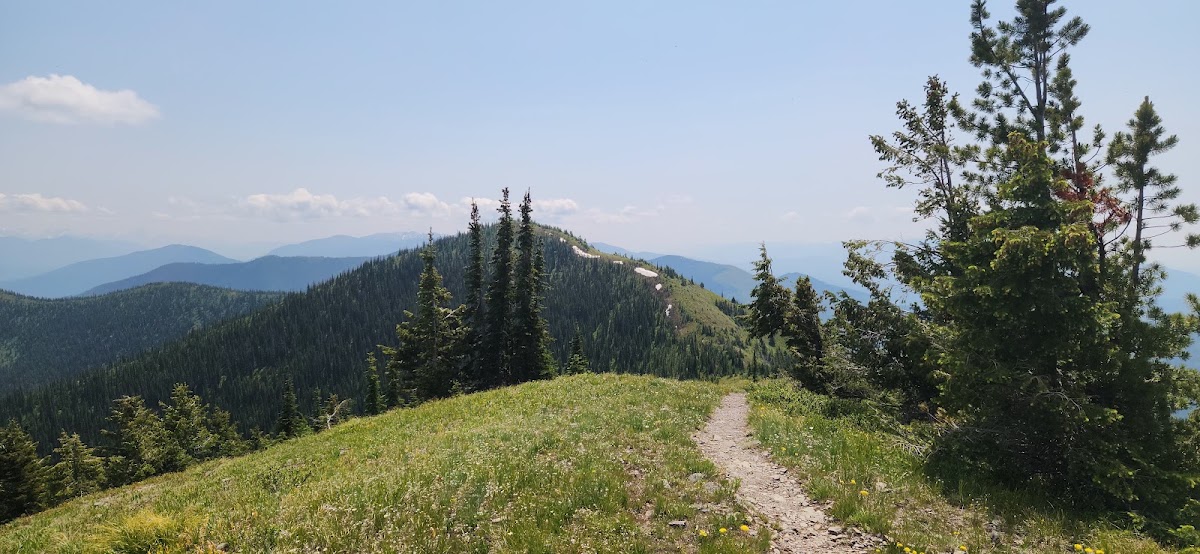 Huckleberry Lookout