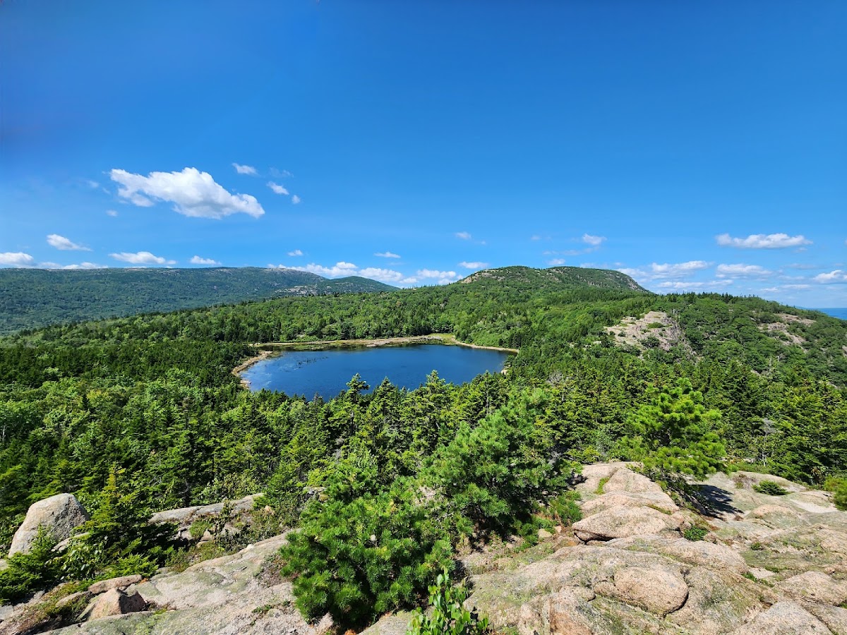 The Bowl