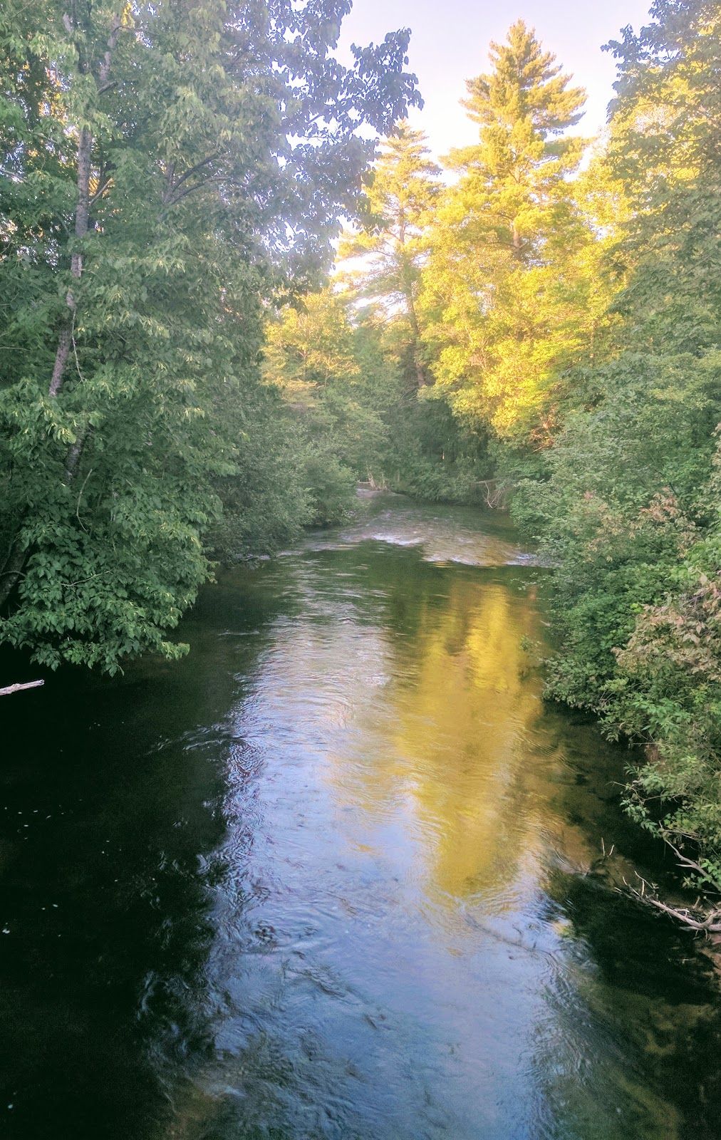 Little Manistee River