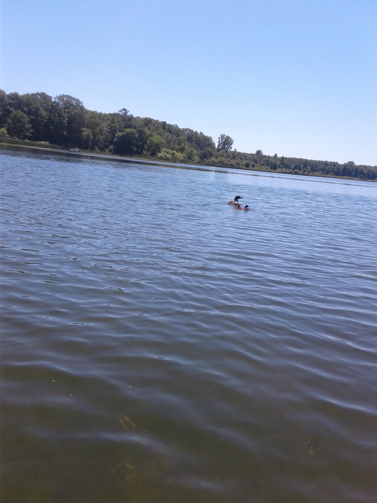 Tallman Lake