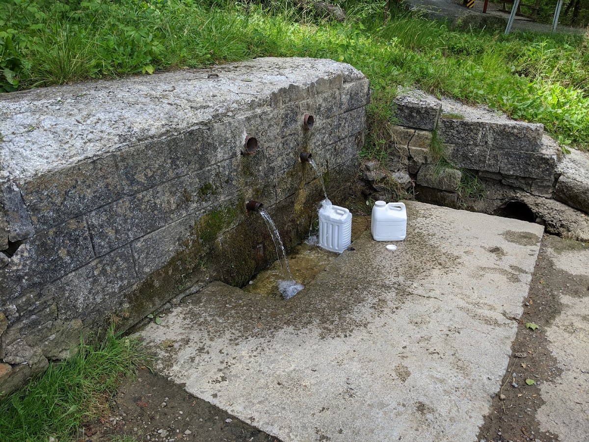 Volunteer Loop to Tank Springs
