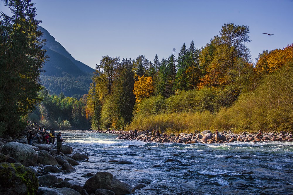 Chilliwack River Trail