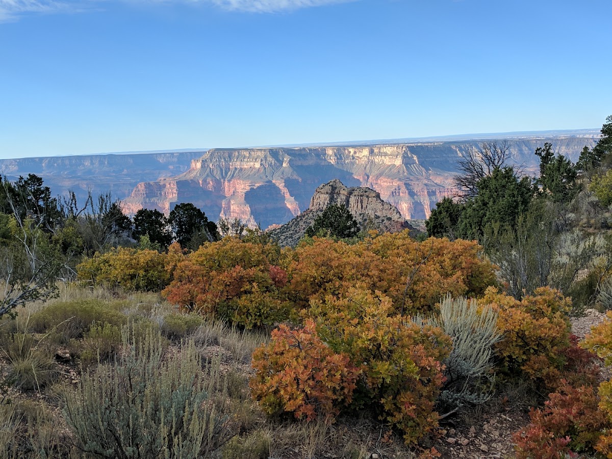 Bill Hall Trail