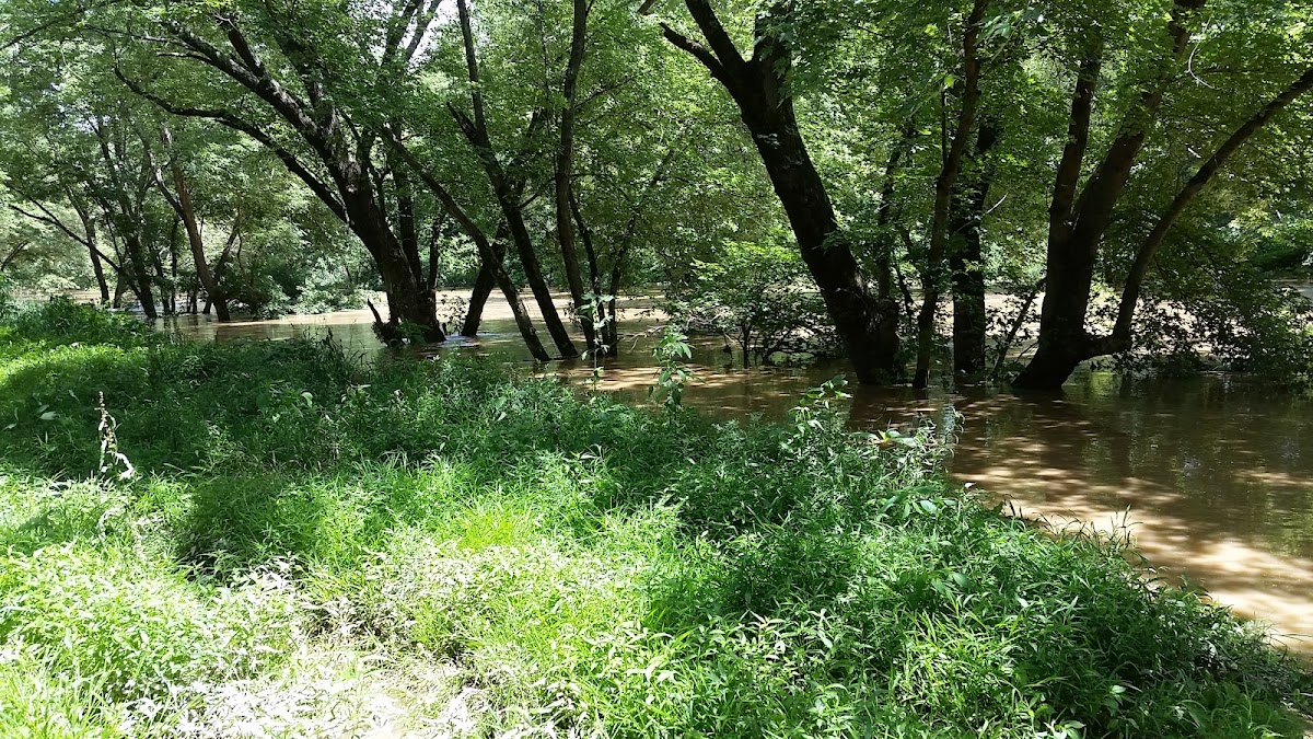 Beech Fork