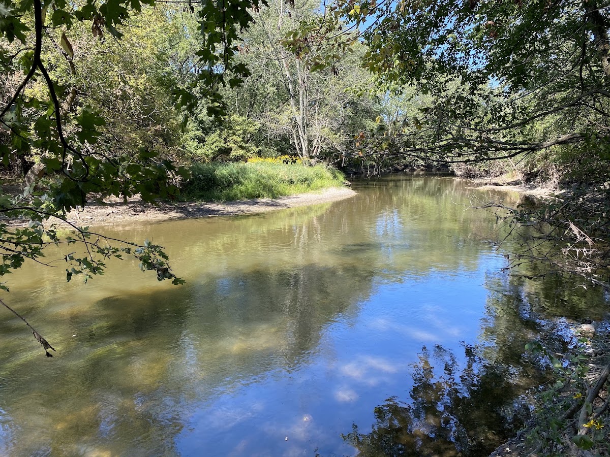 Brookfield Woods