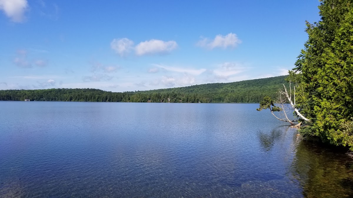 Lower Wilson Pond