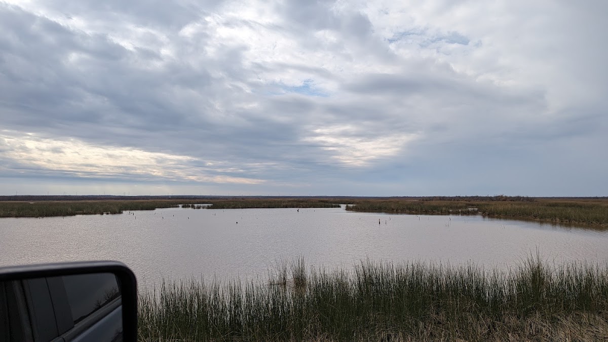Lake Stamford