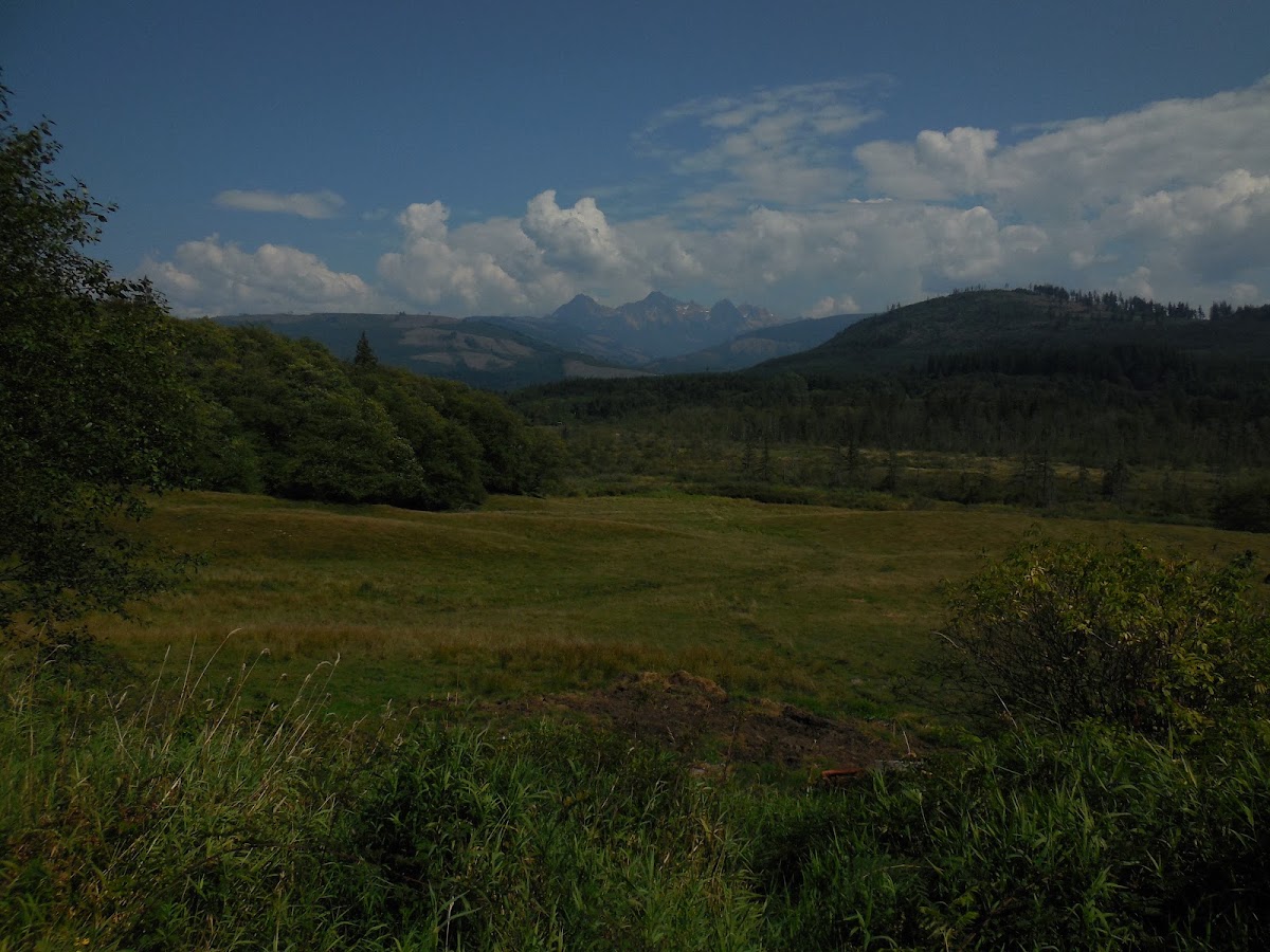 South Fork Nooksack River