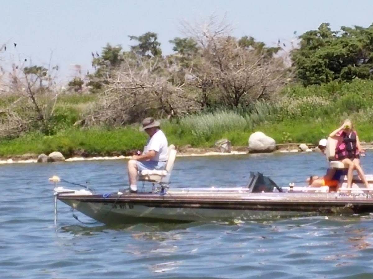 Goose Lake