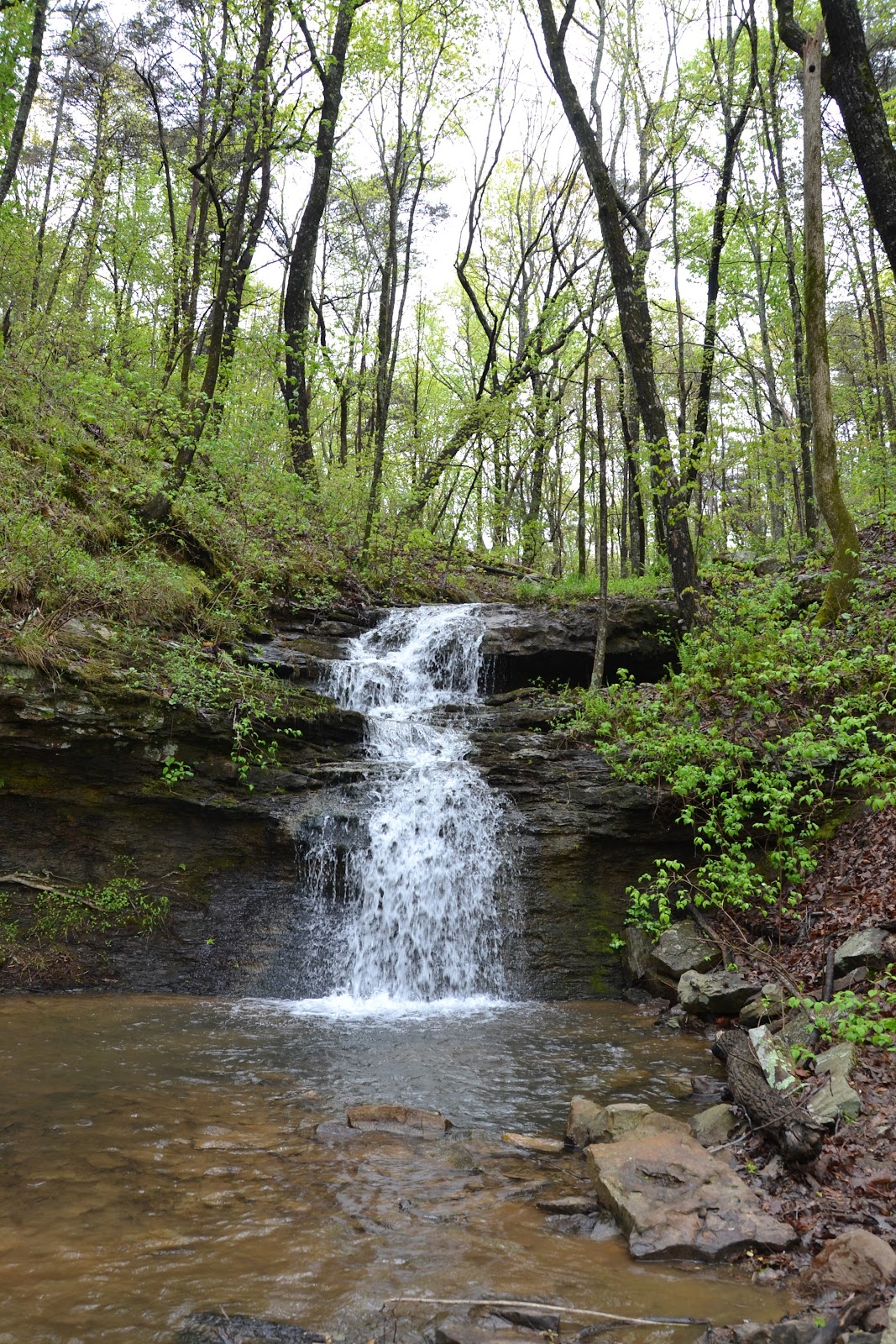 Alum Hollow Land Trust