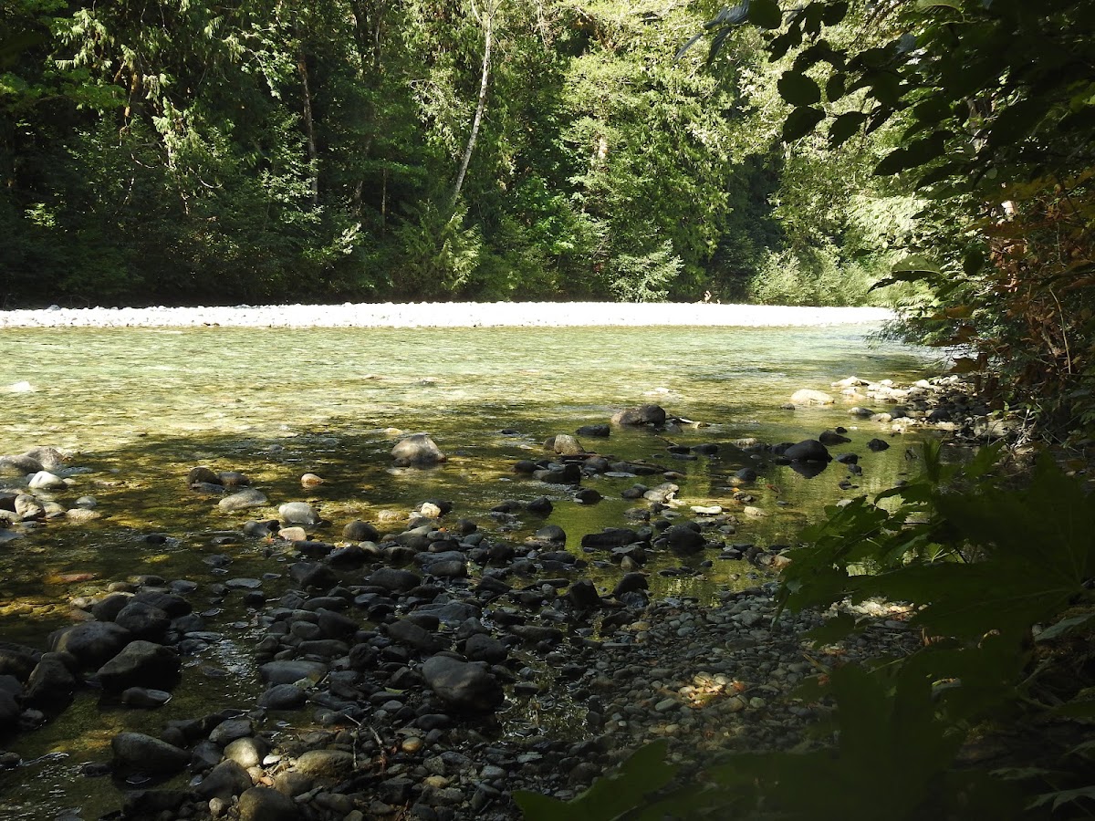 Bacon Creek