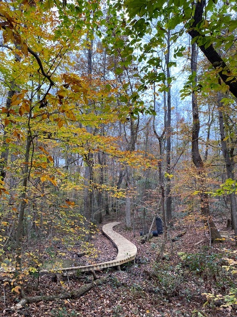 High Hill Creek Mountain Bike & Run Park