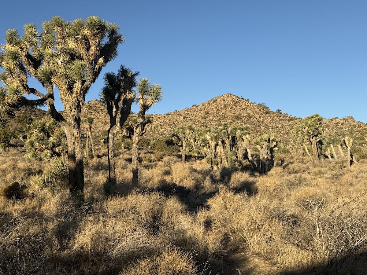 West Side Loop Trail