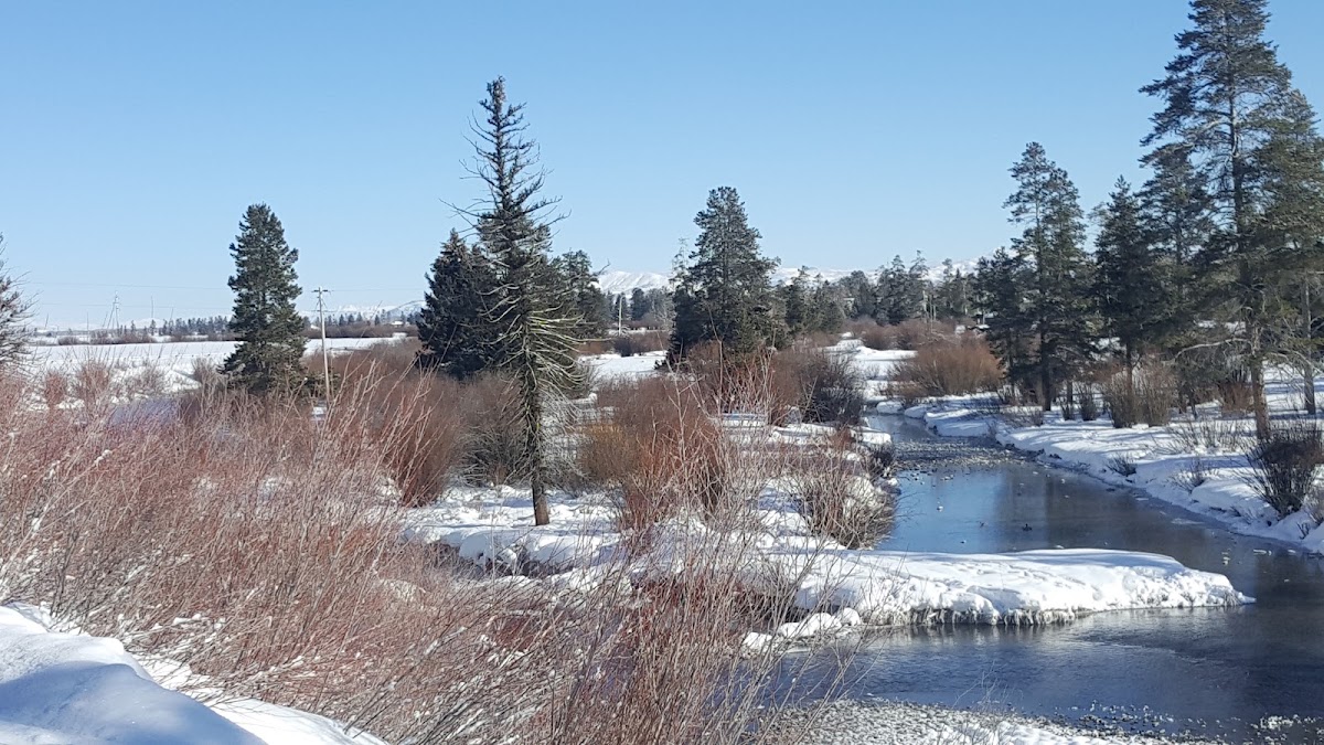 Fish Creek