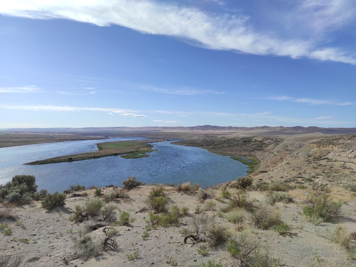 Hanford Reach