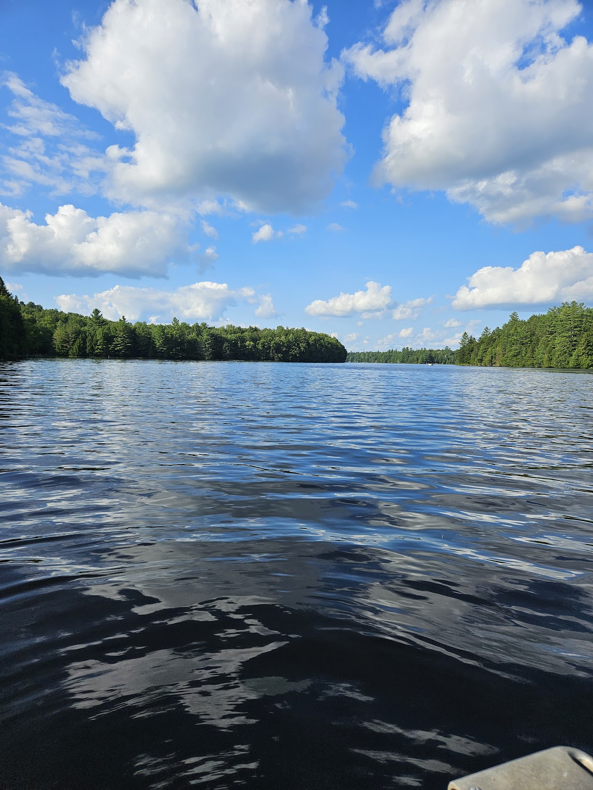 Union Falls Pond