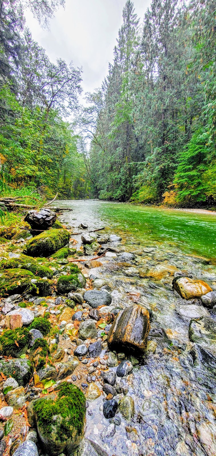 Stetattle Creek