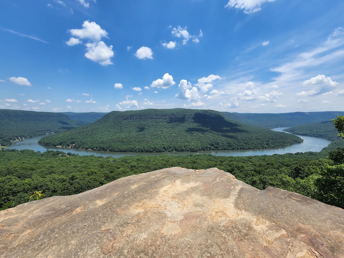 Prentice Cooper State Forest