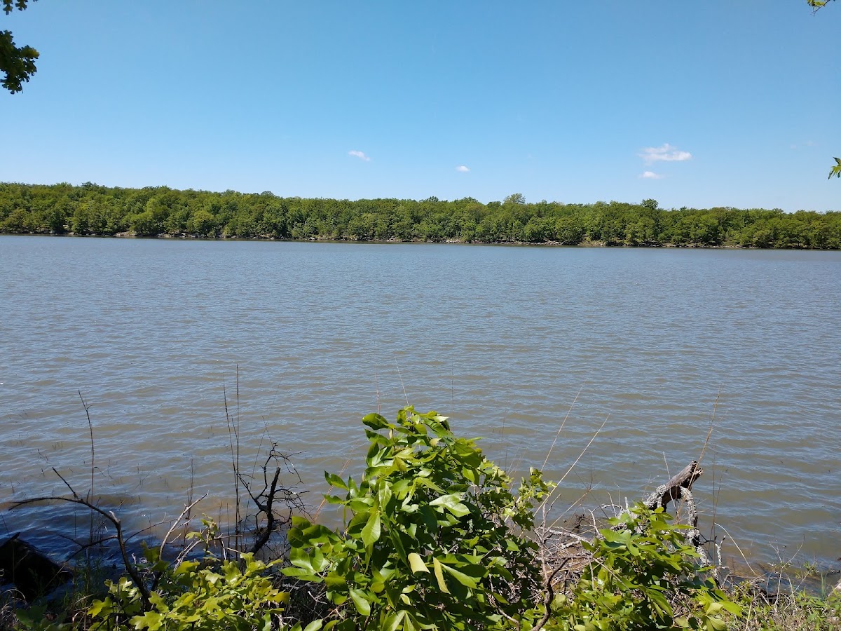 Okmulgee Lake