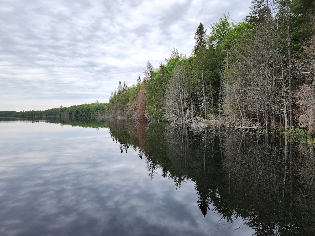 Craig Lake State Park