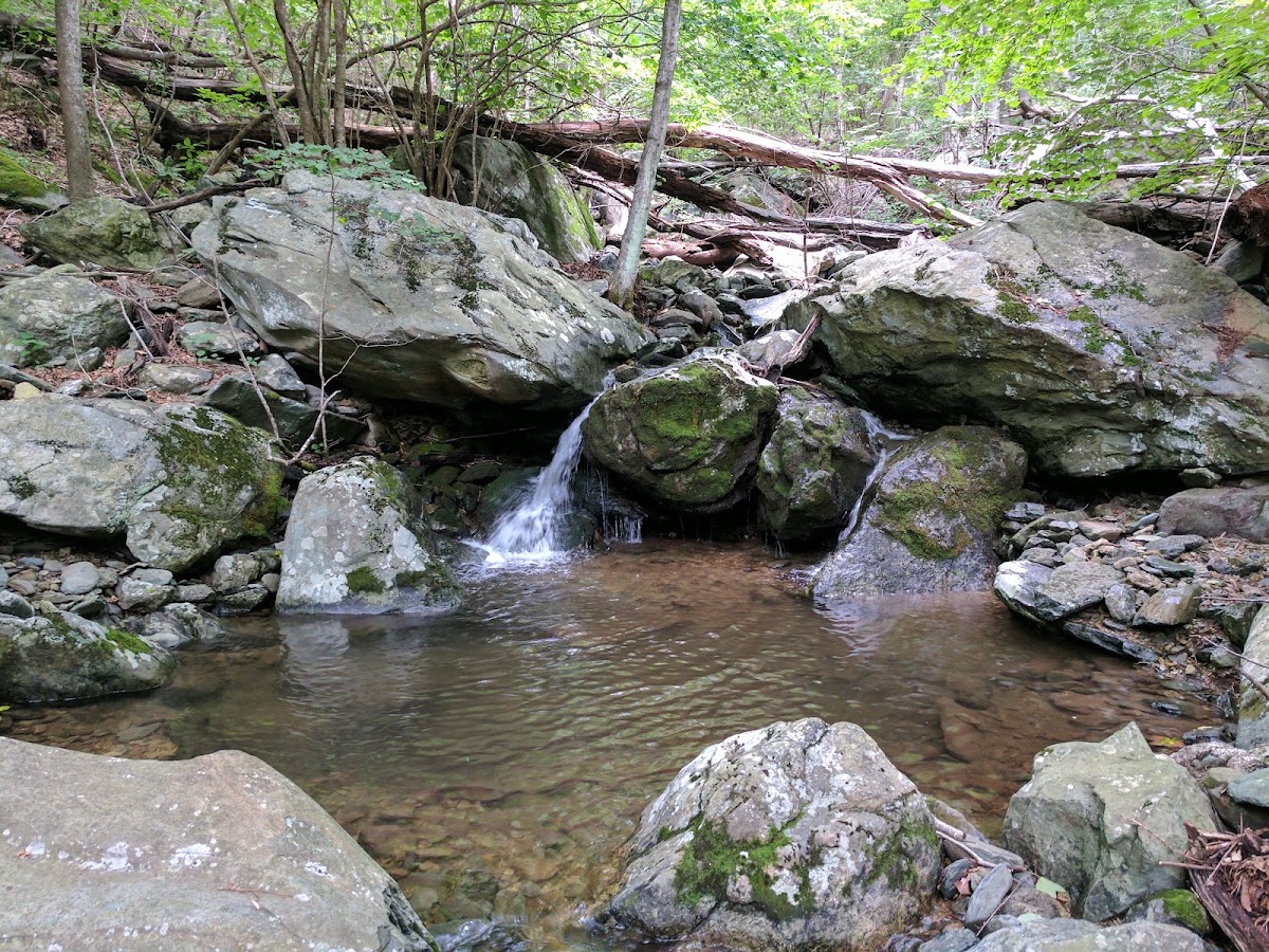 Cedar Run Trail