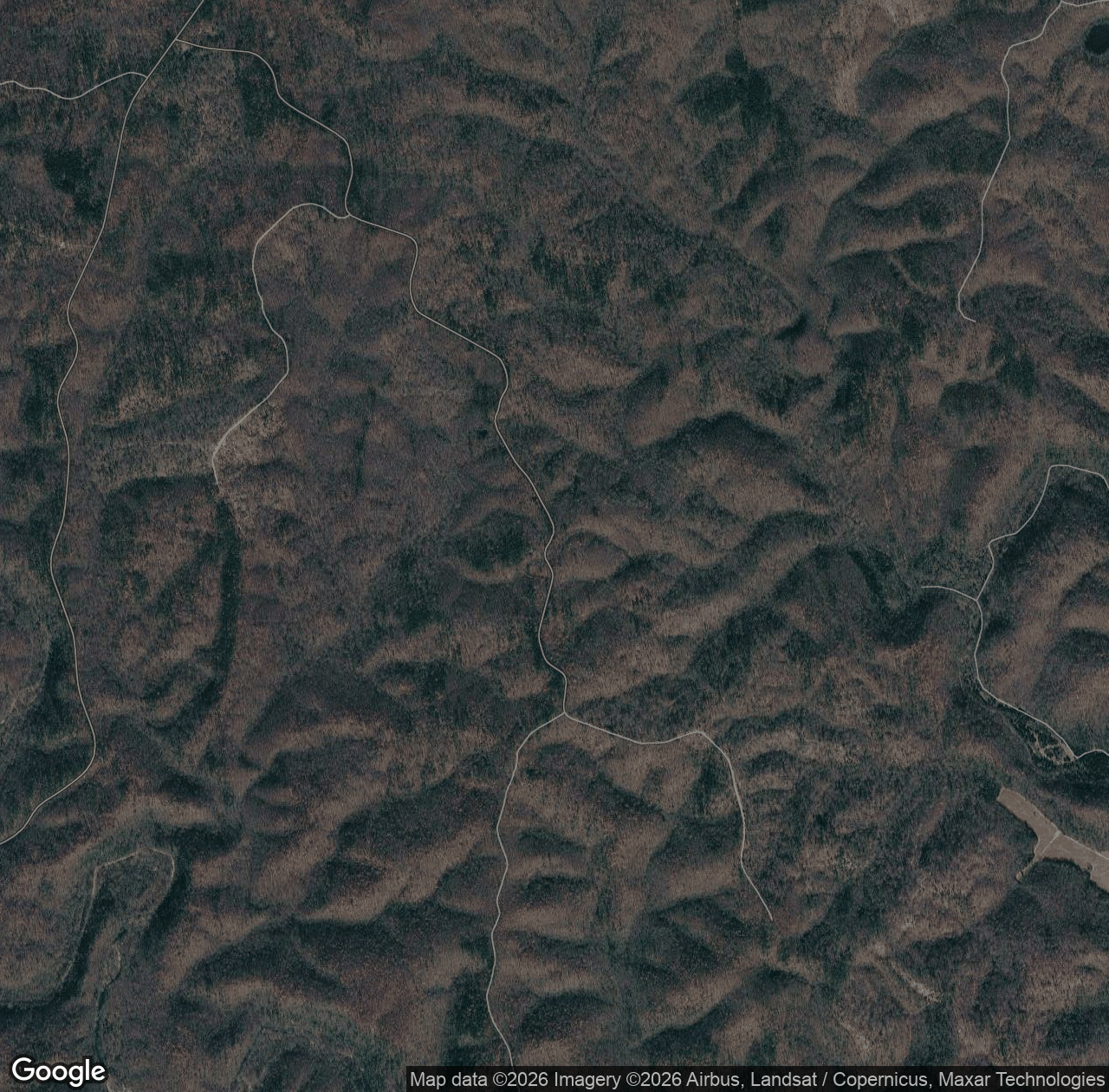 Forest Road 3238