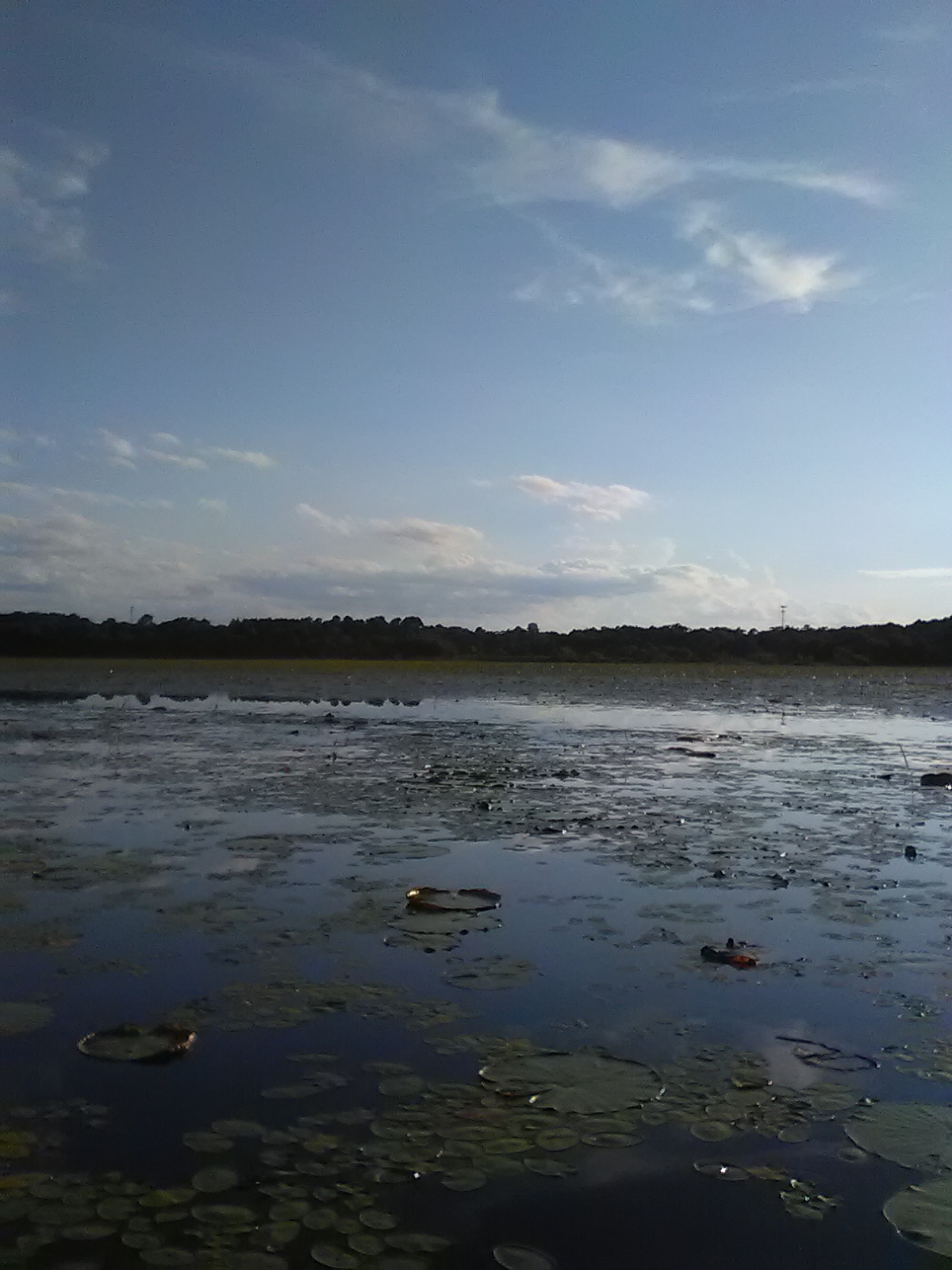 Lake Jackson