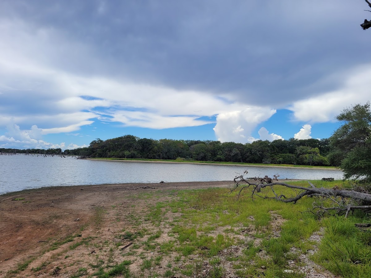 Lake Texana