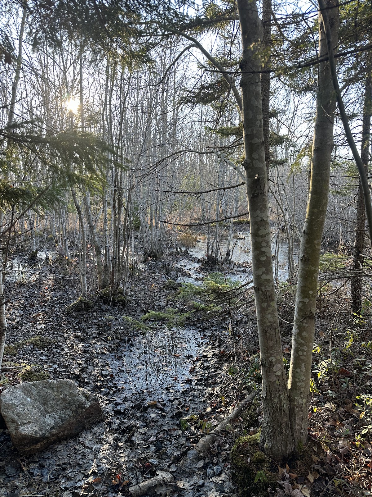 Kief Pond