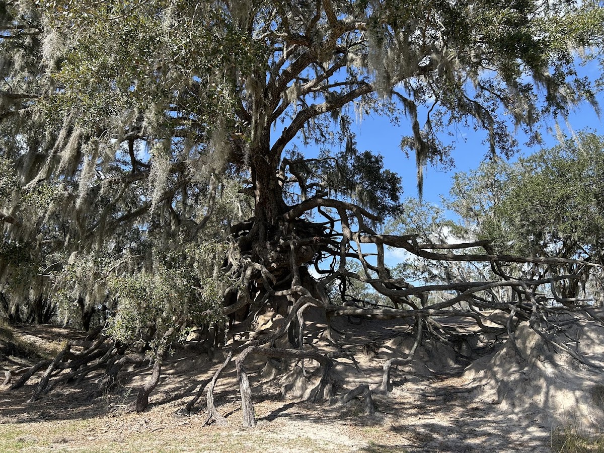 Edward Medard Reservoir