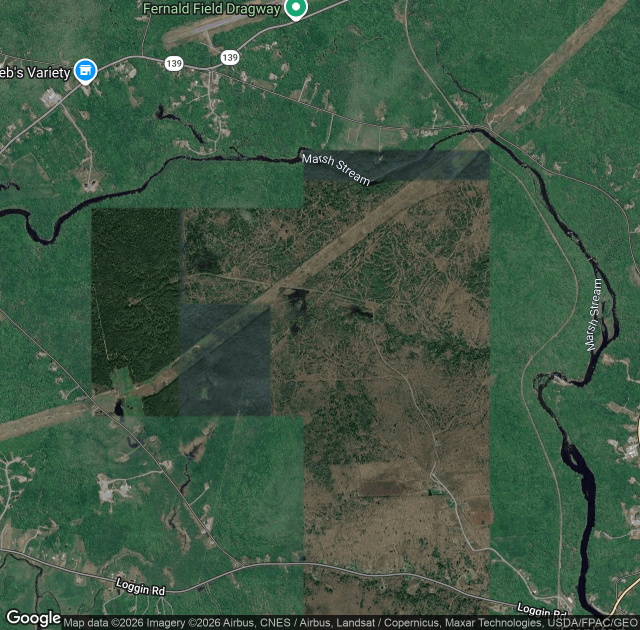 Frankfort Town Forest