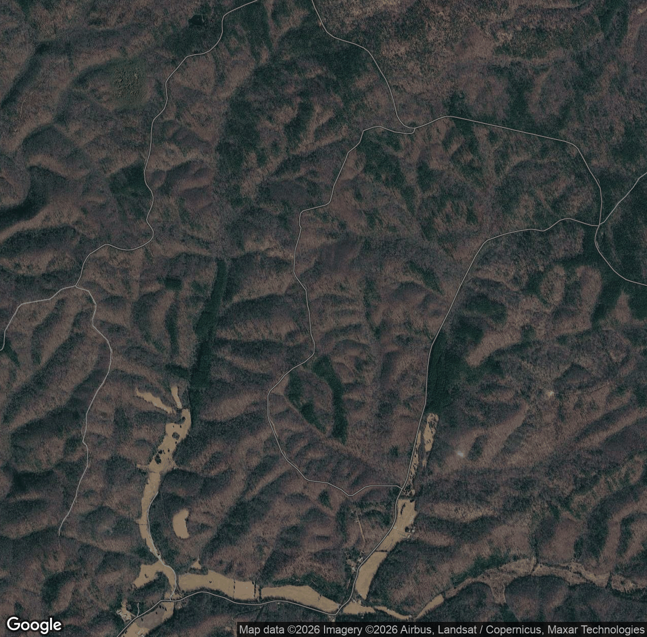 Forest Road 4111
