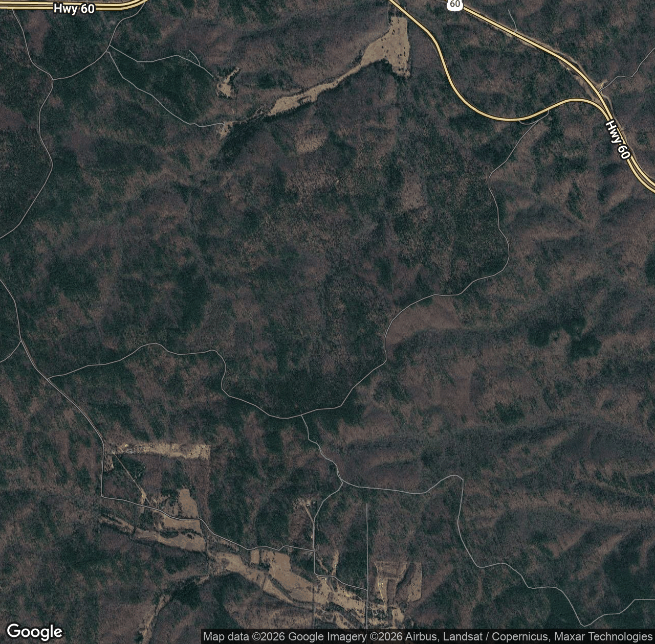 Forest Road 3261