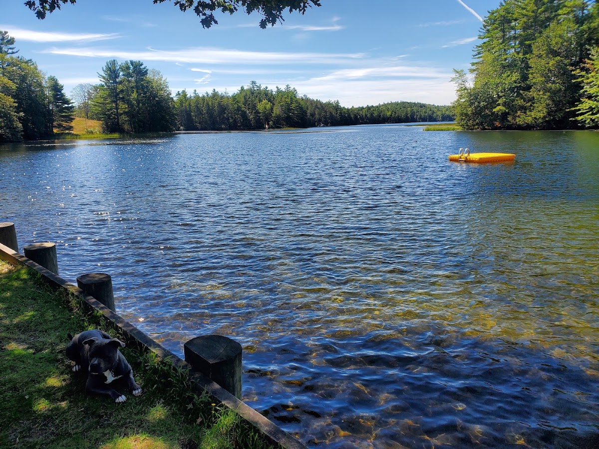 Stevens Pond