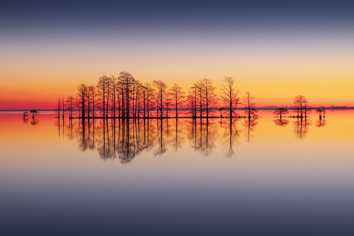 Lake Mattamuskeet