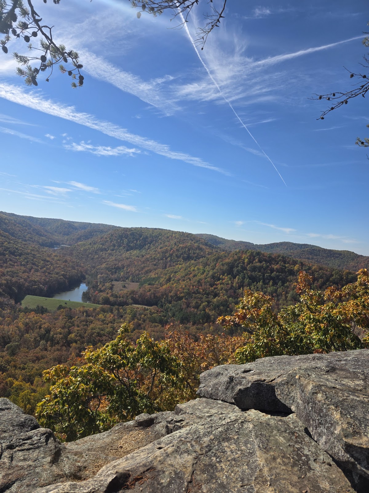 Berea College Forest