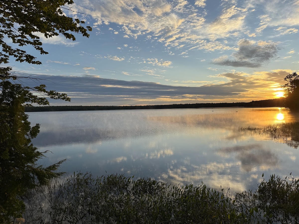Downeast Lakes Community Forest
