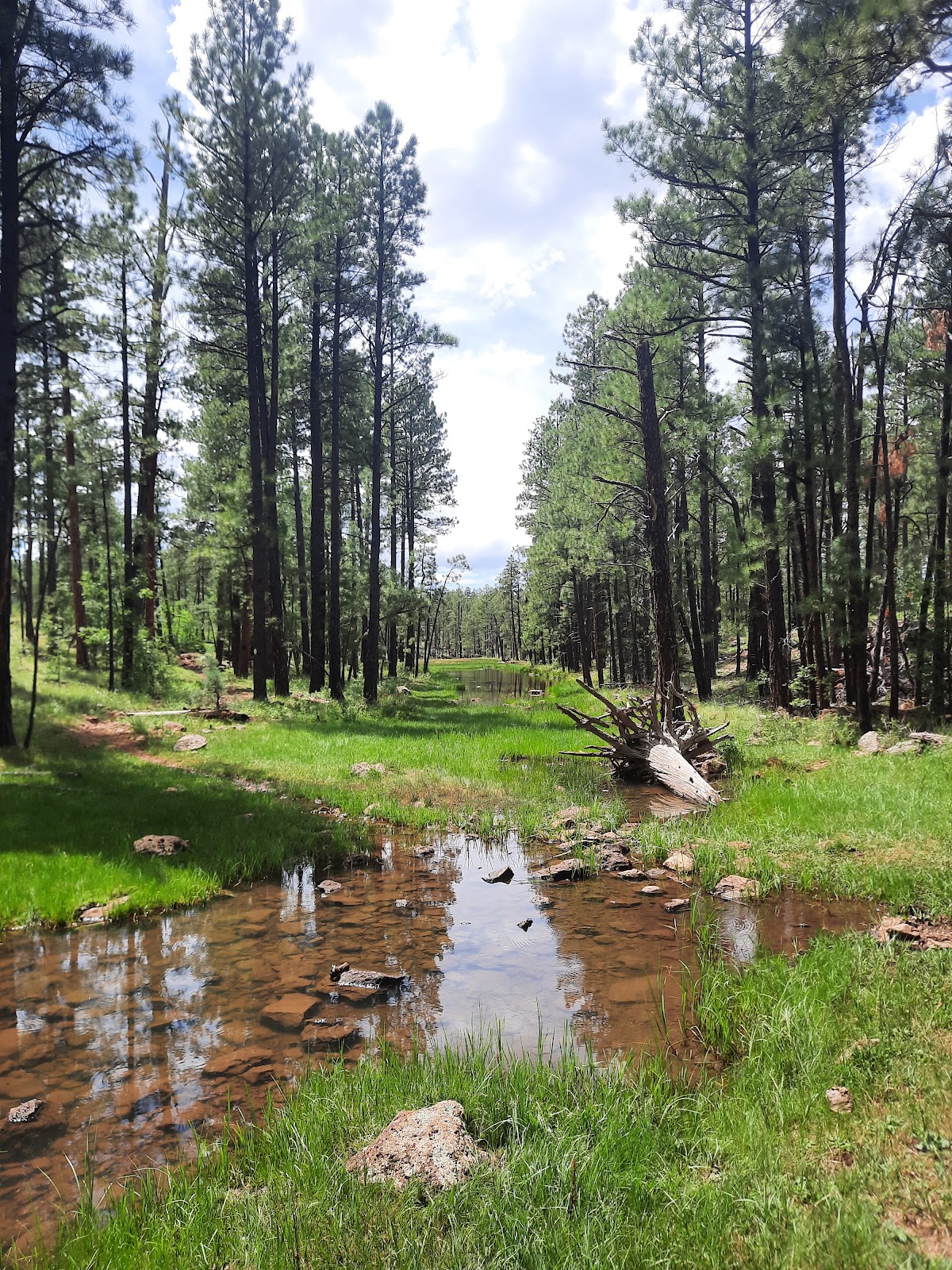 Four Springs Trail