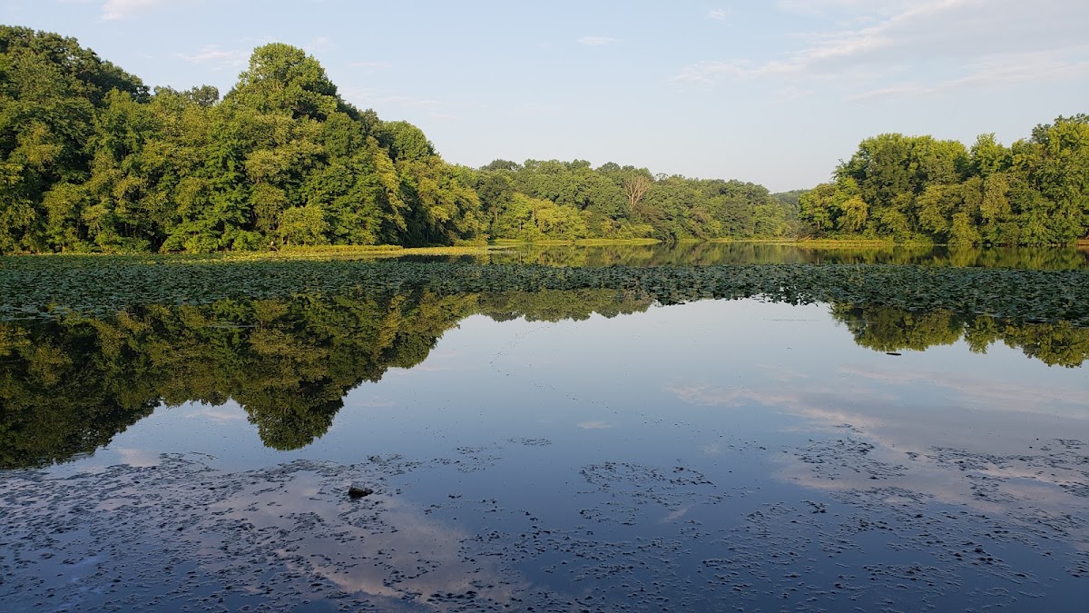 Becks Pond