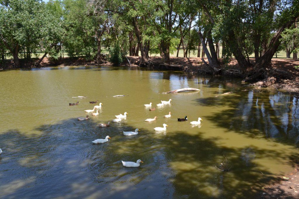 Ned Houk Memorial Park