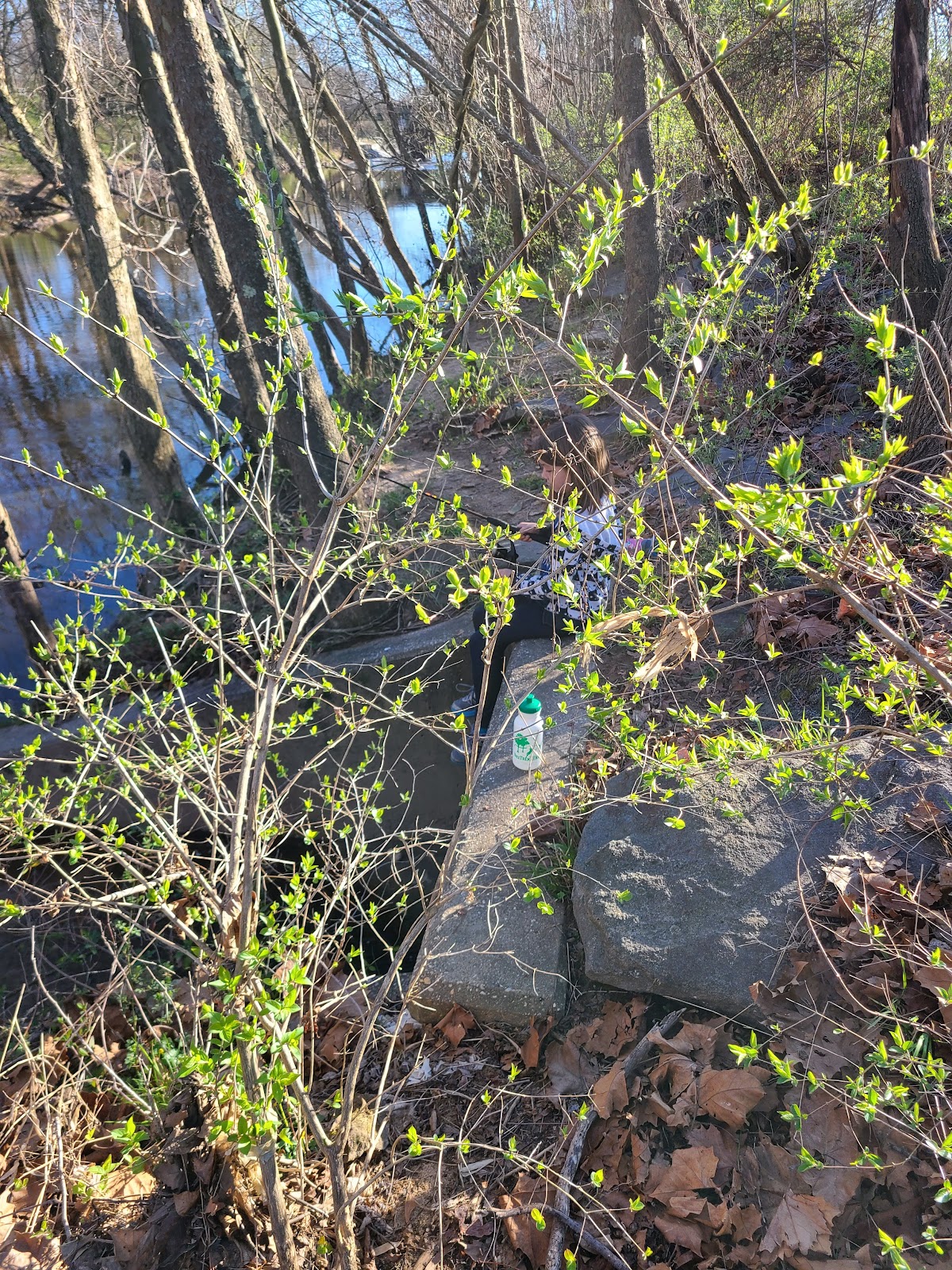 Northeast Branch Anacostia River