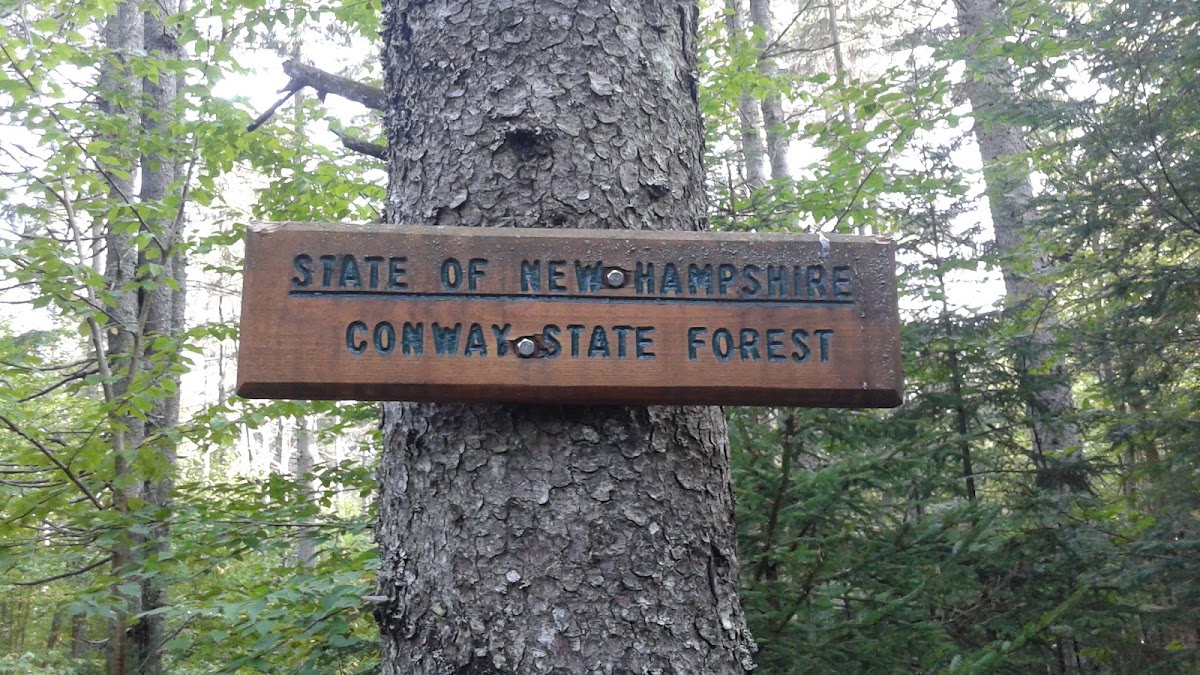 Conway Common Lands State Forest
