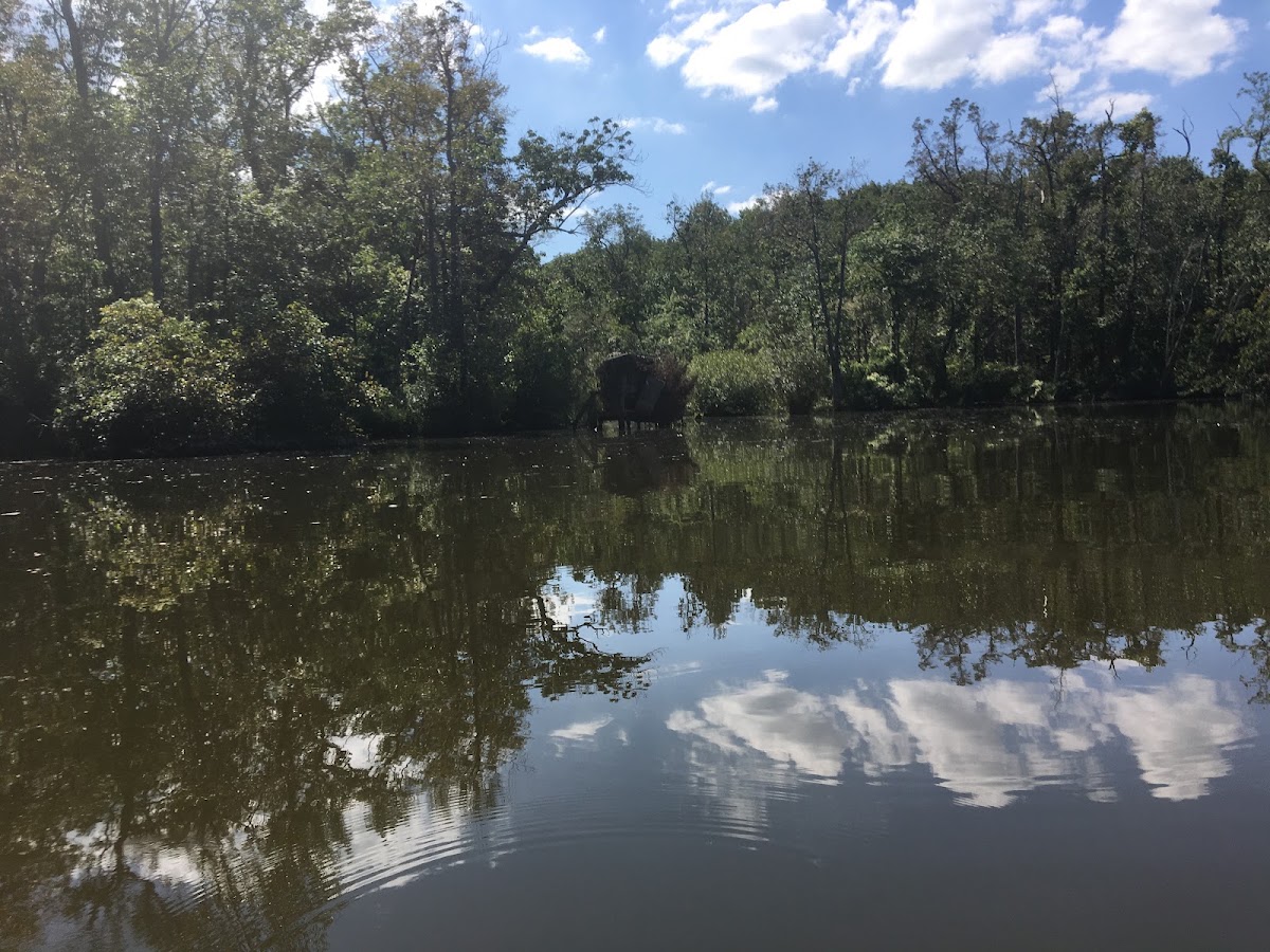 Broadkill River