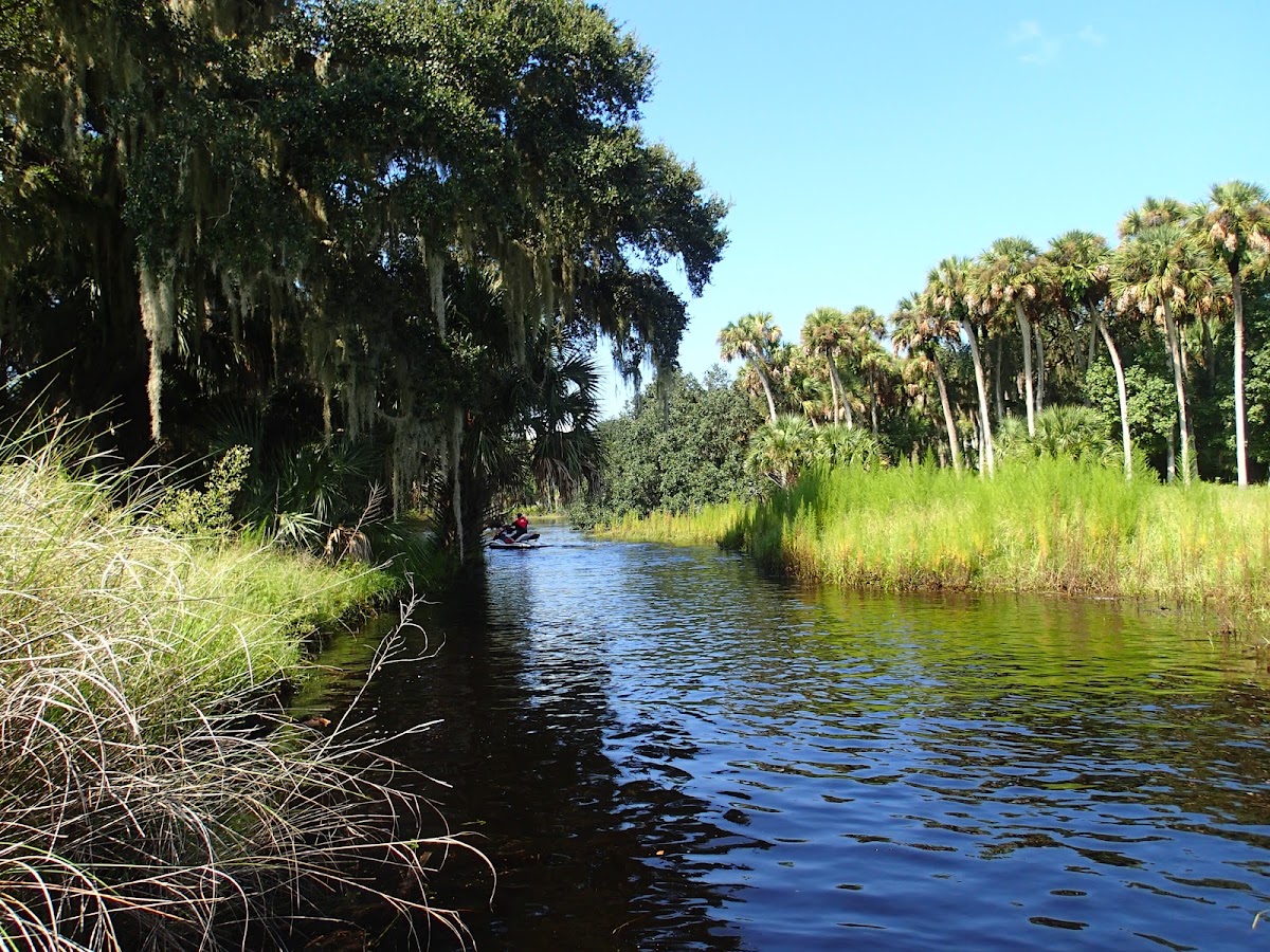 Econlockhatchee River