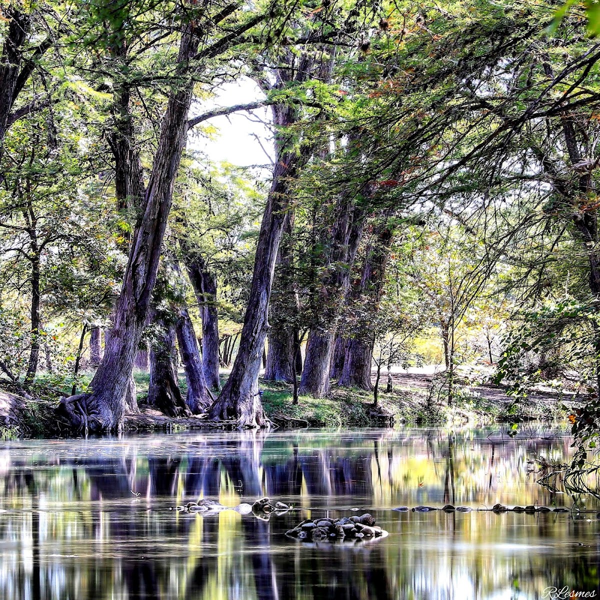 Medina River