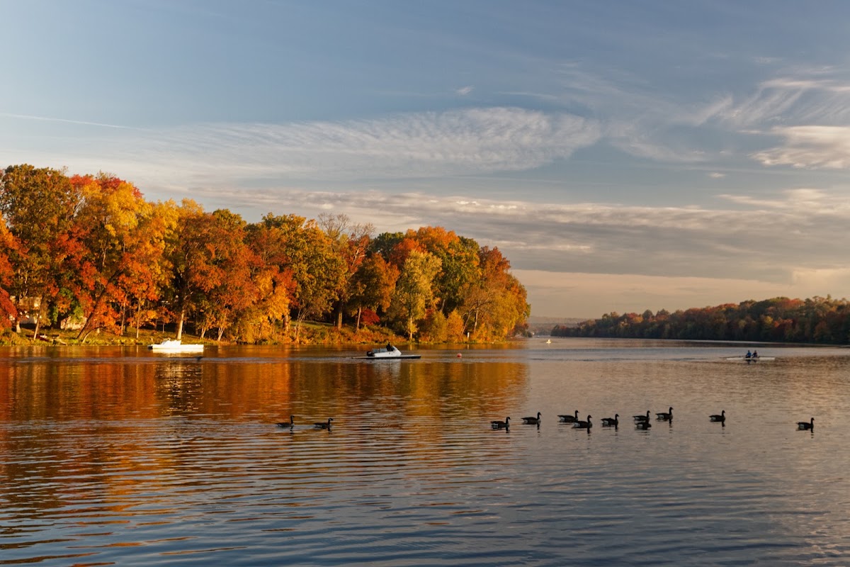 Lake Carnegie